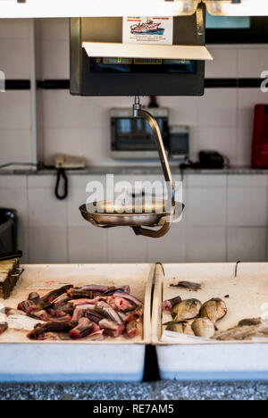 MINORCA-giugno 1:immagine da Mahon mercato del pesce,su giugno 1,2013. Foto Stock