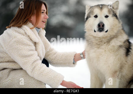 Ritratto di una ragazza accanto a un cane Alaskan Malamute per una passeggiata in inverno. Foto Stock