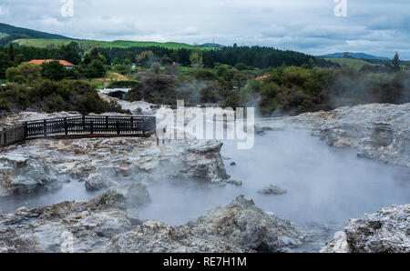 Hells Gate, Nuova Zelanda - 1 marzo 2018. Il vapore sorge dalle piscine geotermiche di Hell's Gate tra alberi, colline ondulate e paesaggio verde. Foto Stock