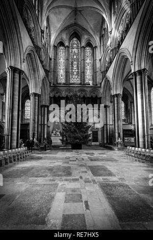 Immagine in bianco e nero di parte della Cattedrale di Salisbury e di albero di Natale con vetrata sopra Foto Stock