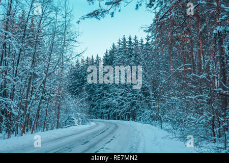 Coperta di neve strada in inverno foresta. Trendy colore vintage Foto Stock