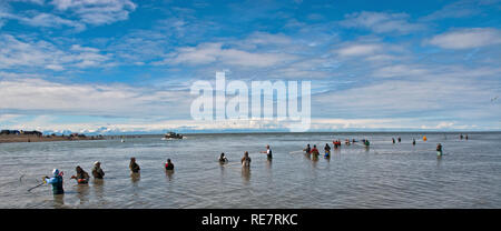 La pesca del salmone nella Penisola di Kenai, Alaska Foto Stock