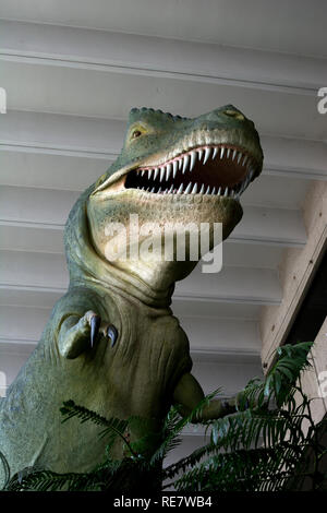 Tyrannosaurus rex modello al di fuori del Queensland Museum, South Bank, Brisbane, Queensland, Australia Foto Stock