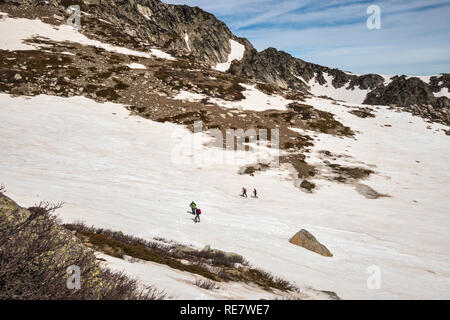 Gli escursionisti attraversa il campo di neve a Monte Renoso Trail, GR 20 variante, Haute-Corse, Corsica, Francia Foto Stock