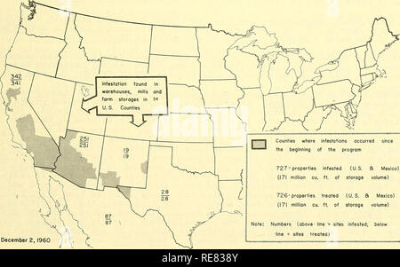 . Cooperativa economica relazione di insetti. Insetti Utili; pesti di insetto. - 275 - più comune e più costosi parassiti di mandorle, noci e frutta secca in California; molto spesso una famiglia di pest dovuti allo stoccaggio di questi materiali nelle case. Anche in California, casa marrone tarma (Hofmannophila pseudospretella) è stata occasione- alleato trovato infestanti di grano in storage. Il 30 giugno 1960, tutti i noti KHAPRA BEETLE (trogoderma granarium) infesta- zioni negli Stati Uniti e la Repubblica del Messico erano stati trattati. Per l'anno fiscale, con il coinvolgimento di 37 siti e 7 milioni di metri cubi di volume. Foto Stock