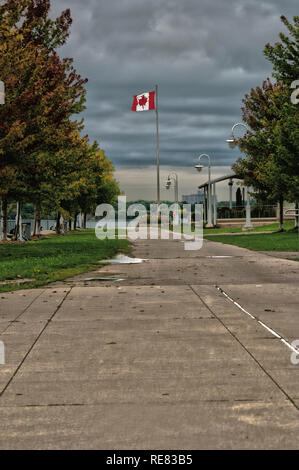 Bandiera canadese battenti nel vento in un parco. Foto Stock