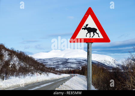 Traffico segno di avvertimento con le alci vicino a una strada in Norvegia artica, Ringvassoya Foto Stock