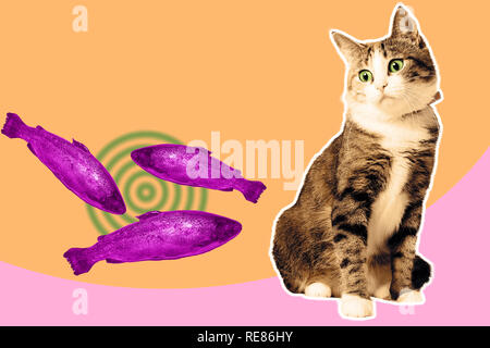 Gatto e collage di salmone, pop art concept design, vivace sfondo minima. Foto Stock