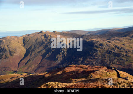 La Wainwright Angletarn Pikes & Brock Crags dal N/E colmo di Hartsop sopra come in Dovedale,Parco Nazionale del Distretto dei Laghi,Cumbria, Inghilterra, Regno Unito. Foto Stock