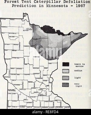 . Cooperativa economica relazione di insetti. Pesti di insetto di controllare gli Stati Uniti periodici. - 38 - una falena OLETHREUTID (Laspeyresia cupressana) - California - larve moderata in italiano i coni di cipressi nel vivaio di Menlo Park, San Mateo County. (Cal. Coop. Rpt.). FOREST TENDA CATERPILLAR (Malacosoma disstria) - Minnesota - il movimento di questa peste è stata in un sud a southeasterly direzione. La corrente di infestazione è centrata sulla gamma di ferro area di Hibbing, Virginia, e Eveleth. Il 1968 defogliazione prediction illustrata sui disegni mappa è stata basata sulla observ- ed defogliazione e lar Foto Stock