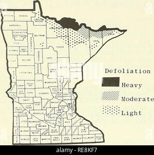 . Cooperativa economica relazione di insetti. Insetti Utili; pesti di insetto. 172 Forest tenda Caterpillar prevede la defoliazione in Minnesota - 1966 CALIFORNIA OAKWORM (Phryganidia californica) - California - causando gravi danni alle querce nativa in colline di pino e Nord area di picco, della Contea di San Diego. Circa 150 acri completamente defogliati; danni leggeri nel resto dell'area. (Cal. Coop. Rpt.). La molla CANKERWORM (Paleacrita vernata) - Missouri - i maschi adulti notato a luci nella contea di Pemiscot Marzo 2. (Jones, Keaster). FOREST TENDA CATERPILLAR (Malacosoma disstria) - Minnesota - in autunno e in inverno la banda di uovo surv Foto Stock