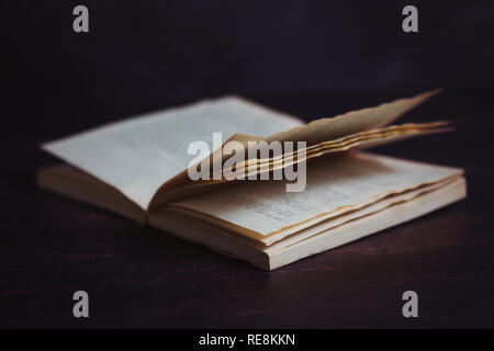 Un cane dalle orecchie libro in brossura su sfondo scuro Foto Stock