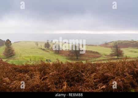 I golfisti sfidando un umido e nuvoloso giorno a Bradnor Hill golf course Kington Herefordshire England Regno Unito. Novembre 2018 Foto Stock