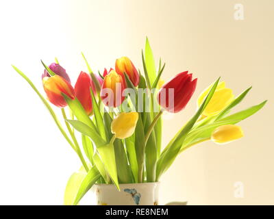 Giallo e rosso tulipani in un vaso Foto Stock