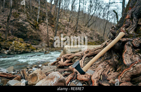 Ax è presso la struttura ad albero Foto Stock