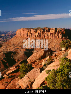 Stati Uniti d'America, Utah, il Parco Nazionale di Canyonlands, sparse ginepri e la giunzione Butte, vista a sud-ovest dal Grand View Point, Island in the Sky distretto. Foto Stock