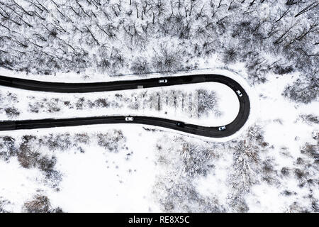 Vista aerea di una bella strada a serpentina con alcune vetture che corrono attraverso di esso. Spettacolare paesaggio costituito da una foresta di conifere e il bianco della neve. Foto Stock