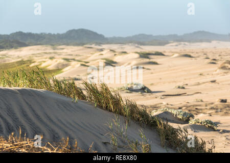Bellissime dune di sabbia in Santa Lucia in Sud Africa Foto Stock
