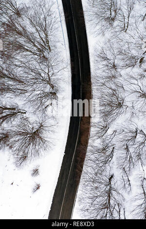 Vista aerea di una strada circondata dalla foresta di conifere e il bianco della neve. Parco nazionale d'Abruzzo, Lazio e Molise, Italia. Foto Stock