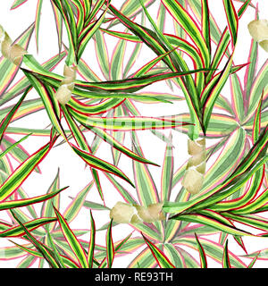 Dracaena marginata tricolore. Acquerello illustrazione dello sfondo impostato. Perfetta configurazione di sfondo. Foto Stock