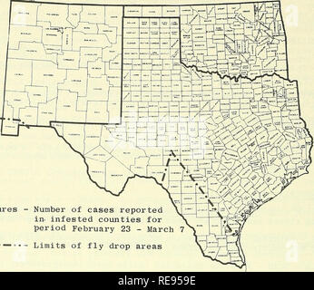 . Cooperativa economica relazione di insetti. Insetti Utili; pesti di insetto. - 178 - durante il periodo marzo 1-7, Texas rancher presentato 43 casi di myiasis; 4 casi che non erano stati vite-vite senza fine sono stati segnalati da Arizona e un caso di vite-worm raccolti nel novembre 1963, è stato anche riportato. Quasi 86 milioni di mosche sterili sono stati rilasciati durante il periodo marzo 1-7. (Anim. Dis. Erad. Div.). Le figure. Il numero di casi segnalati in- infestati contee per periodo 23 febbraio - marzo limiti di volare le aree DOMESTICHE E STRUTTURALI CLUSTER DI INSETTI FLY (Pollenia rudis) - Michigan - fastidioso in Lansing ar Foto Stock