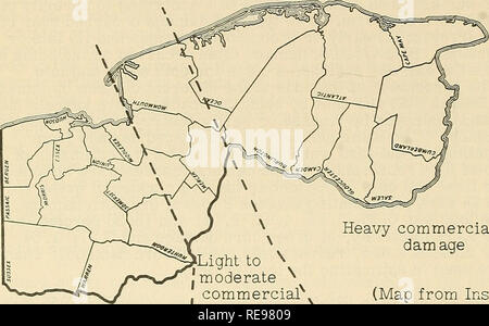 . Cooperativa economica relazione di insetti. Insetti Utili; pesti di insetto. - 114 - grano di inverno mite (Penthaleus major) - Texas - maculato popolazioni pesanti in molti campi di grano di piccole dimensioni a Denton, Cooke, Grayson, Fannin, Suoneria, Navarro, cade e McLennan contee. (Davis, Randolph). Probabile curculione di erba medica danno per il New Jersey nel 1956 Basato su 1955 rientrano uovo sondaggio. Nessuno per molto . danni leggeri . Commerciali pesanti ^ diga luce di età per .'moderati commerciale ^^ danni (mappa da Ins. -Dis. Newsletter #123) afide di erba medica chiazzato - California - Moderato infestazioni si è verificato nella zona del deserto di San Di Foto Stock