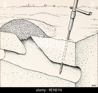 . Campo di controllo di roditori in California. Roditori; mammiferi. Fig. 15. Uso di sonda per immissione pocket gopher esche; quando spinta nel terreno, se la sonda scende improvvisamente a circa 2 pollici e un tunnel principale è stato localizzato; poi il foro di sonda è resa sufficientemente grande per inserire un esche avvelenate. Questa sonda è in grado di trattare diverse centinaia di fori, su quanto 40 acri, in un solo giorno. La sonda è il più semplice da usare quando il terreno è umido e soffice fino al livello delle principali gallerie e meno facile quando il suolo è duro. È insoddisfacente in sabbia. In suolo di adobe che spacca quando asciutto, la sonda scende come ea Foto Stock