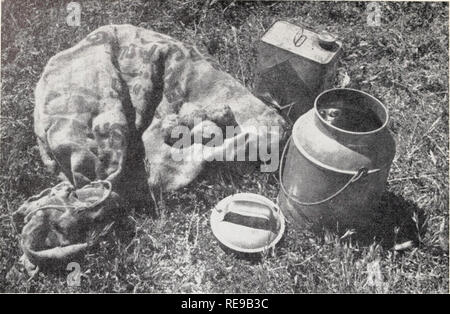 . Campo di controllo di roditori in California. Roditori; mammiferi. Fig. 4. Attrezzatura per l'uso di un disolfuro di carbonio nel controllo della massa scoiattoli: stock può di disolfuro di carbonio, rifiuti palle di iuta e latte può con stretto raccordo coperchio in cui le sfere di rifiuti sono immersi nel fluido. Un filo rigido (non mostrato) agganciato ad una estremità è utile per sollevare le sfere di rifiuti e collocarli in cunicoli. tutti i pacchetti mostra il principio attivo come il warfarin. Per gli scoiattoli di terra è fatto uso della forma concentrata (1:200, o 5 per cento), una miscela di farina di grano o di altra polvere che deve essere combinato con esca in un 1:19 rapporto b Foto Stock