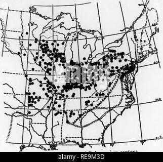 . I contributi dal laboratorio botanico e la Morris Arboretum dell'Università di Pennsylvania, vol. 13. La botanica; Botanica. 8 BARTONIA POLEMONIUM E POLEMONIELLA 9 2. Polemonium reptan* Linne. Bassa Polemonium. La piastra 2, Fig. 2. Storia.âIn la prima edizione della Flora Virginica, pubblicato nel 1739, Gron- ovius 1 di cui ad un " Polemonium foliis pinnatis, radicibus reptatricibus. Clayt. n. 249." Secondo la corrispondenza assemblato da Darlington,^ radici di ciò che è stato evidentemente della stessa specie sono state inviate da John Bartram a Peter Collinson nel 1740. Quest'ultimo in un primo momento la questio Foto Stock