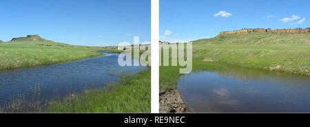 . Indagini acquatici e valutazione della Slim Buttes regione di Harding e la Butte Co., SD . Invertebrati acquatici; invertebrati acquatici; Stream ecologia; Stream ecologia; spartiacque ecologia; spartiacque ecologia. Campbell Creek (tributario per Bull Creek, sud Forcella Grand). La figura 47. Campbell Creek (AES D005) pool guardando la figura 48. Campbell Creek (AES D005) pool guardando a valle verso il bruno stagno a monte verso la posizione di ingresso: Accedere da Johnson Rd. 4.5 miglia a NW di Rt 85. Seguire fino a raggiungere la Foresta Nazionale di sezione e in discesa a monte del Brown's Pond. Città più vicina: Buffalo, Harding Foto Stock