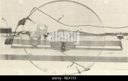 . Costruzione di un sensore per la registrazione in continuo la variazione in altezza delle piante nel campo. Piano di monitoraggio della crescita. Figura 4.-posizione del disco nello slot nel ripiano in plastica. Visibili nella parte posteriore del ripiano è zero-regolare il resistore R4, che è regolabile attraverso un buco nella fine del caso. Nota anche (1) il foro cordale attraverso l'assale, visibile dall'estremità dell'assale utilizzato per il fissaggio del cavo di peso, e (2) i collegamenti phonowire al slidewire.. Si prega di notare che queste immagini vengono estratte dalla pagina sottoposta a scansione di immagini che possono essere state migliorate digitalmente per la leggibilità - col Foto Stock