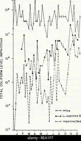 . Costruite le zone umide per la gestione delle acque piovane : una recensione. Costruite le zone umide; gestione della qualità delle acque; Tempesta fognature; acqua di temporale bacini di ritenzione; zone umide; liquame lagune; Urban runoff; acque luride; l'acqua. Variazione Statonol ( dttermlnitlie potltm du" 10 Motontl Figura 9.2. La concentrazione totale di batteri coliformi nel primario applicata watewater Comunali e nelle acque di vegetazione di un letto matrimoniale e un letto unvegetated. Applicazione idraulica la tariffa era di 5 cm d'" per entrambi i letti (da Gersberg et al. 1987).. Brevetto statunitense n.^egetoicd Bed 1985 44. Si prega di notare che queste immagini vengono estratte dalla pagina sottoposta a scansione Foto Stock