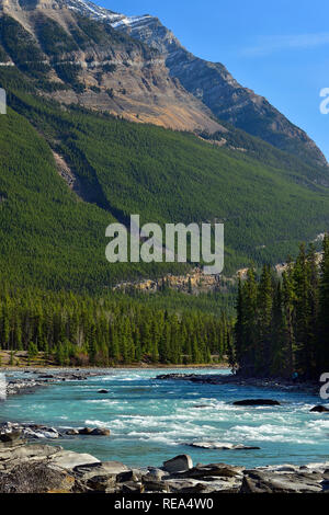 Un paesaggio verticale immagine del possente fiume Athabasca con montatura Kerkeslin in background nel Parco Nazionale di Jasper Alberta Canada. Foto Stock