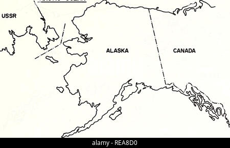 . La considerazione di una revoca della moratoria e il ritorno della gestione di alcuni mammiferi marini allo stato dell'Alaska : ultima dichiarazione di impatto ambientale / interagenzie Task Group [di] U.S. Dipartimento del Commercio, National Oceanic and Atmospheric Administration, National Marine Fisheries Service [e] U.S. Ministero degli Interni, pesci e fauna selvatica servizio. Mammiferi marini Alaska.. Oceano Artico. Si prega di notare che queste immagini vengono estratte dalla pagina sottoposta a scansione di immagini che possono essere state migliorate digitalmente per la leggibilità - Colorazione e aspetto di queste illustrazioni potrebbero non perfettamente res Foto Stock