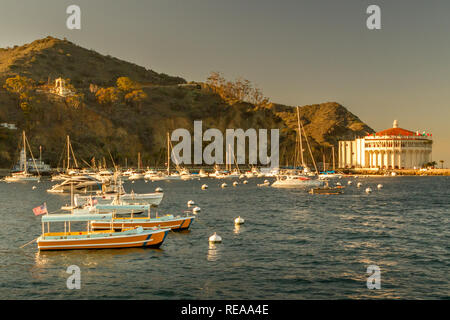 Catalina Tramonto - tardo pomeriggio di sole riscalda il porto di barche e 'Casino.' Isola di Santa Catalina, Avalon, CALIFORNIA, STATI UNITI D'AMERICA Foto Stock