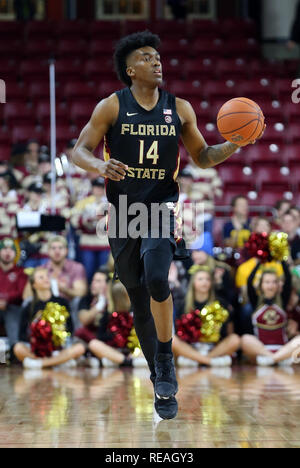 Conte Forum. Xx gen, 2019. MA, USA; Florida State Seminoles guard Terance Mann (14) con la palla durante il NCAA pallacanestro tra la Florida State Seminoles e Boston College Eagles al Conte Forum. Il Boston College ha vinto 87-82. Anthony Nesmith/CSM/Alamy Live News Foto Stock