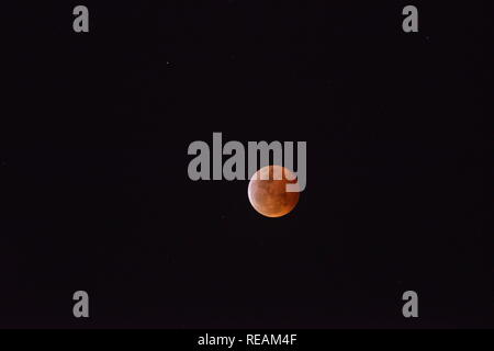 Rosso super Luna Lunar Eclipse su gennaio 21, 2019 in Texas, Stati Uniti d'America Foto Stock