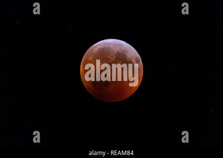 Toronto, Canada. Il 21 gennaio 2019. Toronto, Canada. Il 2019 Eclissi lunare totale, Super sangue Wolf Luna, come si è visto nel cielo di Toronto, Canada. Dominic Chan/EXimages Credito: EXImages/Alamy Live News Foto Stock