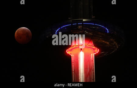 Brighton, Regno Unito. 21 gennaio 2019 un Super sangue wolf luna è visto dietro il British Airways i360 torre di osservazione a Brighton durante un'eclisse lunare. Credito: James Boardman / Alamy Live News Foto Stock