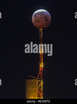 21 gennaio 2019, Assia, Frankfurt/Main: Come un rosso, cosiddetto "sangue luna", la luna piena sorge sopra l'antenna nella parte superiore della sede Commerbank, mentre passi nel core ombra della Terra. L'ombra dell'anima copre la superficie visibile della luna. La luna, il sole e la terra sono esattamente in linea. Foto: Frank Rumpenhorst/dpa Credito: dpa picture alliance/Alamy Live News Foto Stock