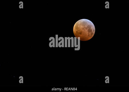 OUDDORP, PAESI BASSI - JANUARI 21, 2019: l'eclissi lunare totale, il super lupo di sangue sulla luna Januari 21, 2019 nei Paesi Bassi è stata chiaramente visibile. Credito: Corine van Kapel/Alamy Live News Foto Stock