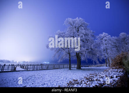 Schwerin, Germania. Xxi gen, 2019. Un albero coperto di brina sorge sulla riva del Lago di Schwerin. Credito: Jens Büttner/dpa-Zentralbild/dpa/Alamy Live News Foto Stock