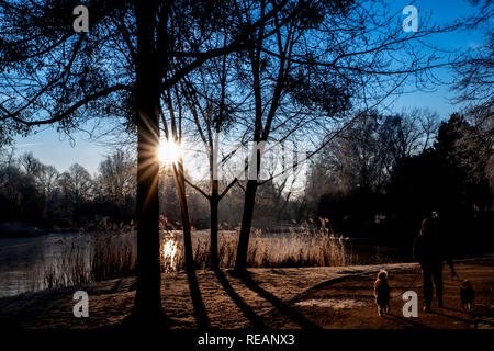 Hannover, Germania. Xxi gen, 2019. Un uomo prende i suoi cani fuori la mattina presto all'Maschpark di Hannover. Credito: Peter Steffen/dpa/Alamy Live News Foto Stock