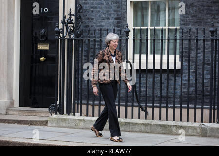 Londra, Regno Unito. Il 21 gennaio, 2019. Il primo ministro Theresa Maggio si prepara a salutare il Primo ministro della Nuova Zelanda Jacinda Ardern al 10 di Downing Street per colloqui. Credito: Mark Kerrison/Alamy Live News Foto Stock