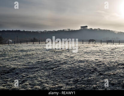 Penshaw, Tyne and Wear, Regno Unito. Il 21 gennaio, 2019. Frosty mattina con i cavalli nel campo presso Cox verde con Penshaw monumento in background, Tyne and Wear, Inghilterra. (C) Washington Imaging/Alamy Live News Foto Stock