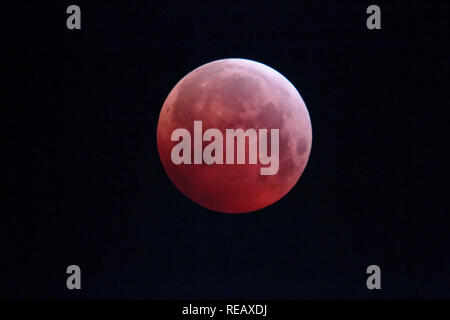 Germania. Il 21 gennaio 2019. eclissi lunare totale, sangue luna, Germania, 21.01.2019 Credito: Michael Liebrecht/Alamy Live News Foto Stock