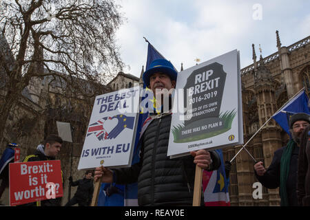 Londra, Regno Unito. Il 21 gennaio 2109. Pro e contro manifestanti Brexit fuori e intorno le Case del Parlamento. Credito: George Wright Cracknell/Alamy Live News Foto Stock