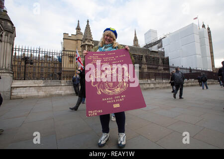 Londra, Regno Unito. Il 21 gennaio 2109. Pro e contro manifestanti Brexit fuori e intorno le Case del Parlamento. Credito: George Wright Cracknell/Alamy Live News Foto Stock