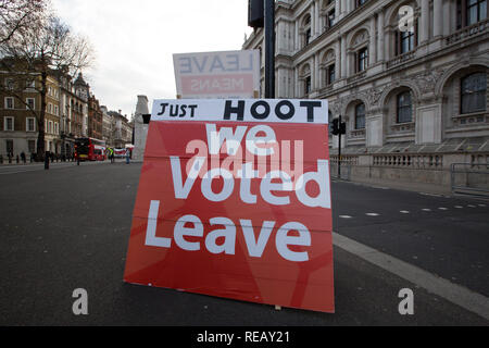Londra, Regno Unito. Il 21 gennaio 2109. Pro e contro manifestanti Brexit fuori e intorno le Case del Parlamento. Credito: George Wright Cracknell/Alamy Live News Foto Stock