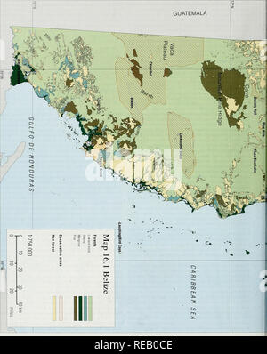 . L'Atlante di conservazione delle foreste tropicali: le Americhe. Belize. 154. Si prega di notare che queste immagini vengono estratte dalla pagina sottoposta a scansione di immagini che possono essere state migliorate digitalmente per la leggibilità - Colorazione e aspetto di queste illustrazioni potrebbero non perfettamente assomigliano al lavoro originale. Harcourt, C. S. , Sayer, J. A. , WCMC, CIFOR. IUCN Foto Stock